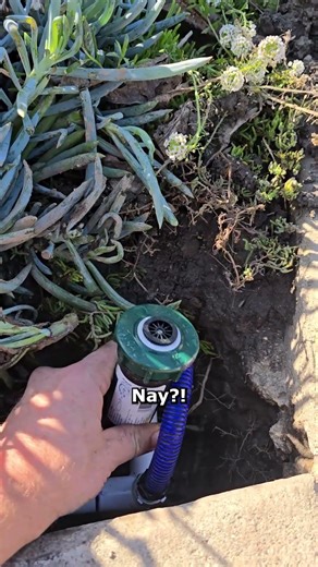 Stop Running Over Your Sprinkler Heads (Easy Fix 💦)