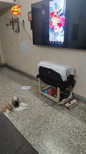 seeing tv first time