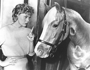Mister Ed the Talking Horse: 10 Facts You Never Knew
