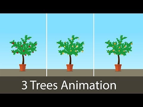 2D Growing Plant Animation | After Effects Template 🌳🌳🌳