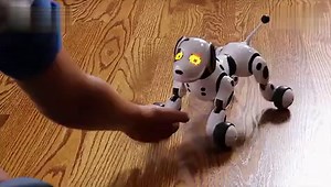 Zoomer智能机器狗--送给小朋友最好的礼物 声控 可训练玩具_