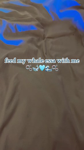 Feeding My Whale Essa: An ASMR Experience