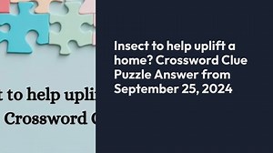 Insect to help uplift a home? Crossword Clue Puzzle Answer from September 25, 2024