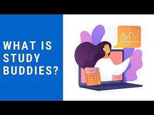 What is Study Buddies?