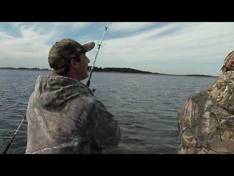 Lake Monticello Catfish