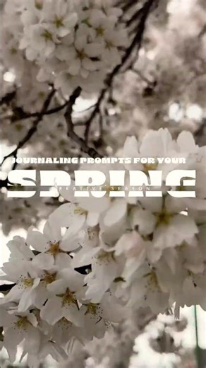Journaling prompts for your creative spring 🌼🌱🌸