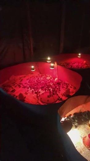 Brooder area #quail #chicken #farming