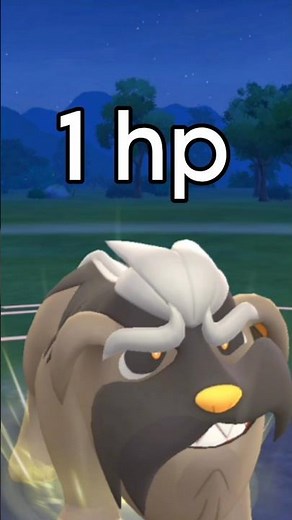 1.1 hp Mabosstiff vs grunt in Pokemon GO.