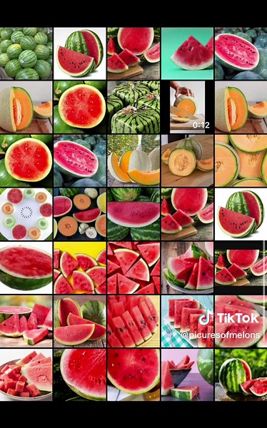 Melon Pictures: A Colorful Journey Through Fruits
