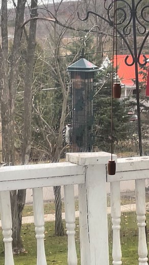 Captian Tom on Reels