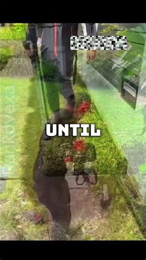 This Lawn Was Completely Out of Control 😳