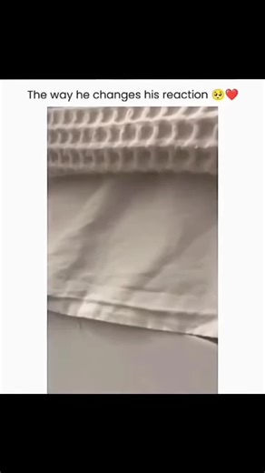 Hilarious Dog Compilation to Brighten Your Day