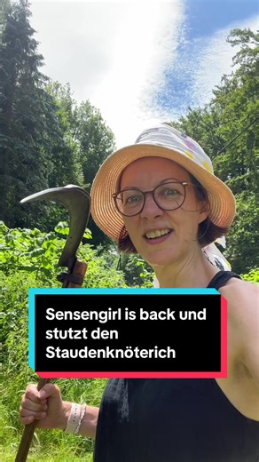 Kampf gegen den Staudenknöterich im Garten