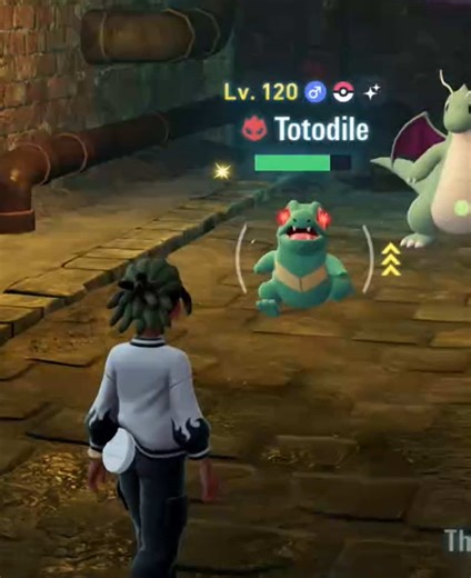 Alpha totodile goes crazy!!! I was doing my best not to pass out!!! ##pokemoncommunity #pokemon #shinypokemonhunting #pokemonlegendsza #pokemon