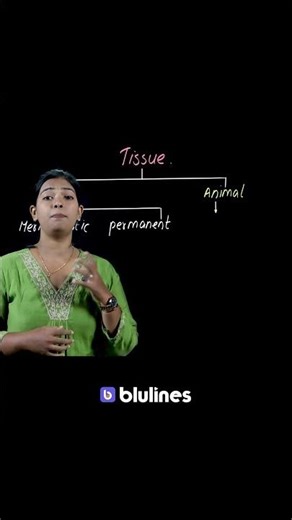 Class 9 Biology: Classification of Tissues | Plant & Animal Tissues Quick Revision
