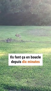 Quelle scène amusante 😄 | Argo France