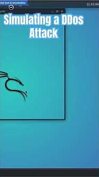 Kali Linux Using Metasploit for a DDos Attack