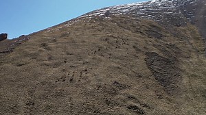 1M views · 4.1K reactions | Hundreds of wild Siberian ibexes, also known as Altai ibex or Gobi ibex, appeared in the mountain area of Baluntai Town in northwest China's Xinjiang Uygur Autonomous Region. Herds of wild animals and livestock fed by herdsmen will haunt the mountain area to feed and drink every summer, according to local herdsmen. The Siberian ibex is under second-class state protection in China. | CGTN | Facebook