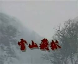 The Flying Fox of Snowy Mountain (1991 TV series) - Alchetron, the free social encyclopedia