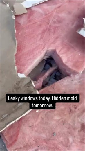 Leaky windows today. Hidden mold tomorrow.