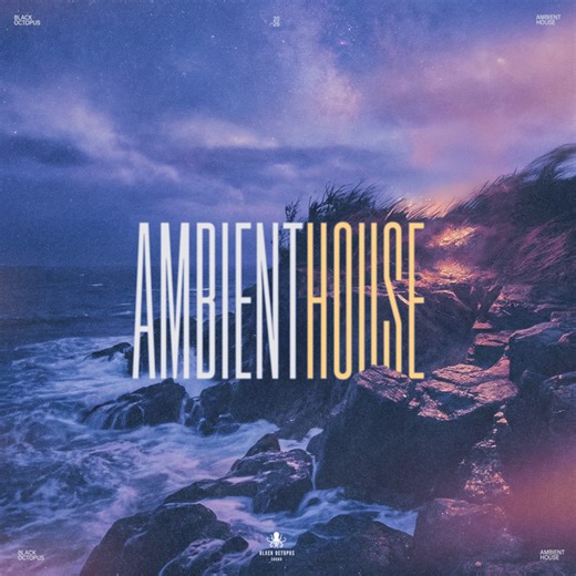 Ambient House by Black Octopus Sound - WAV