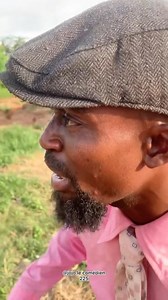 19K views · 615 reactions | Le photographe jojo #humour | Le chef jojo | Facebook