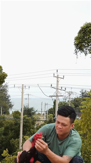 Gà Chọi 86: Hậu Vệ Kế Tiếp Đầy Kỹ Thuật