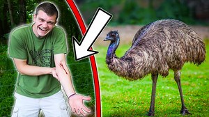 309K views · 10K reactions | I Bought EMUS and They Almost KILLED Me! How great is the love the Father has lavished on us, that we should be called children of God! And that is what we are! The reason the world does not know us is that it did not know him. —1 John 3:1 | Kendall Gray Outdoors | Facebook