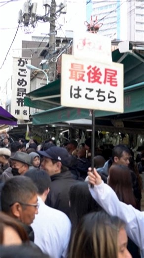 Tuna sirip biru dibida RM13 juta https://www.hmetro.com.my/global/asia/2026/01/1307693/tuna-sirip-biru-dibida-rm13-juta | Harian Metro