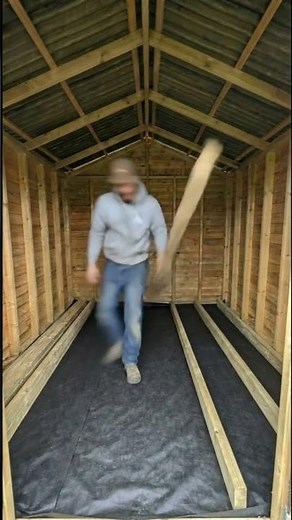 I Built a Tiny Guest House Inside My Shed