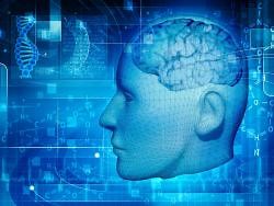 Complexity of human evolution