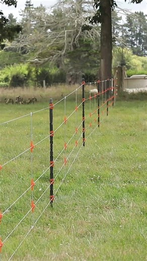 54K views · 437 reactions | 鸞 Watch how quick and easy it is to build...