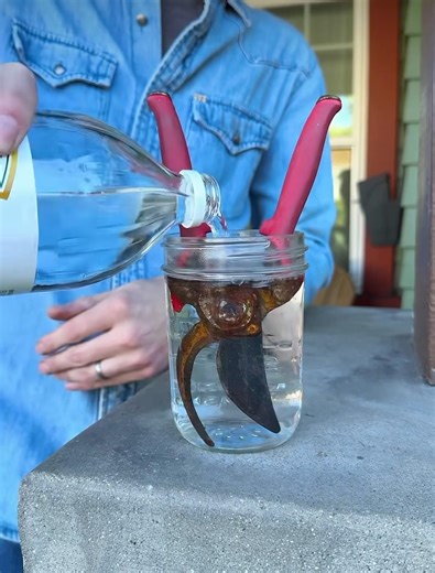 How To Clear Rust From Your Garden Tools 🛠️ #tools #garden #rust #spring #gardening