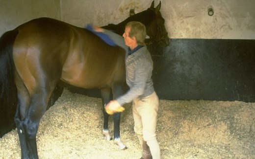 On This Day: Champion horse Shergar kidnapped in Co Kildare