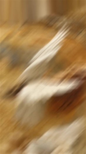 The four angels at the four counters of the earth | Realbiblestories