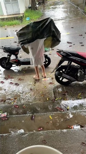 It's raining and there are so many cockroaches, let's head home quickly