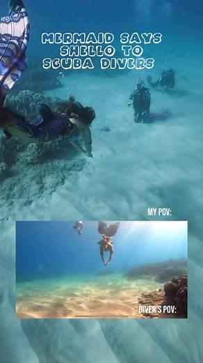 721K views · 5.3K reactions | Nothing like a little game of patty cake to keep these Scuba Divers sharp underwater  #mermaid #scubadivers #prank tail by Merbella Studios Inc. | Mermaid Sirenity | Facebook