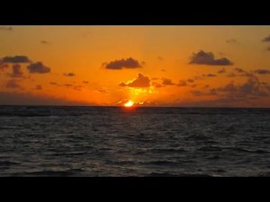 Arrival Cosmic - Cover Version