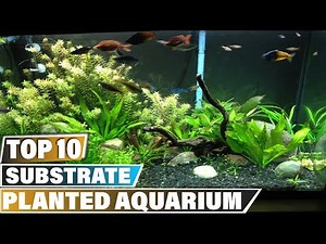 Best Substrate For A Planted Aquarium in 2025 (Top 10 Picks)