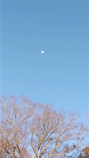 Prayer Walking in my Neighborhood for Salvation to Come please do the same #prayer