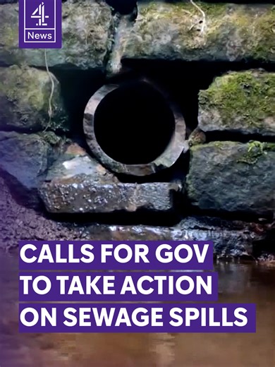 Since water companies were privatised in England, sewage discharges into rivers and lakes have soared, topping one million incidents in 2024 alone. More than 40 environmental groups are now pressuring parliament to use a new law to tighten regulation and put river health before profit. One of the campaigners, Stuart Singleton-White of Chalk Stream Restoration, says, “We’ve got to respect and protect our rivers… All of it starts from healthy, nature-rich rivers, and that should be the priority ri