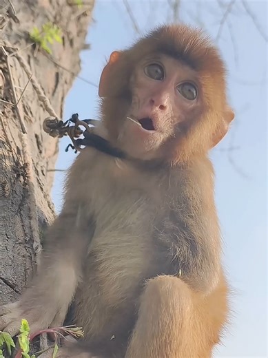 Explore the Wonderful Sounds of Nature