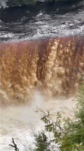 Root beer float falls #nature #northlife #garden #diy