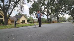 Sisters Skye and Luna are starting ecollar training today as we work on the come command with the pattern of recall, sit, release! Good girls! | Take the Lead K9 Training