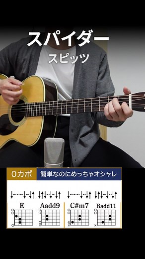 スパイダー / スピッツ ギター弾き語り用簡単コード解説