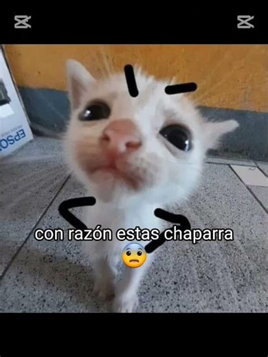 #humor #risa #alien me lo dijo alguien 👽