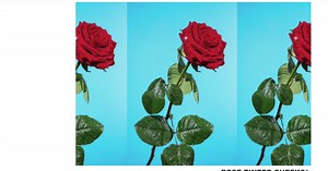 Tyler, The Creator - Rose Tinted Cheeks (Flower Boy demo)