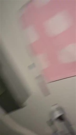 Explorando el mundo de BunniEmma y Rainhearts