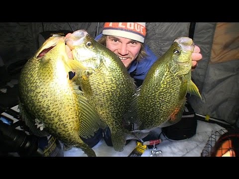 Hammering 16 inch Crappies - Uncut Angling - December 10, 2014