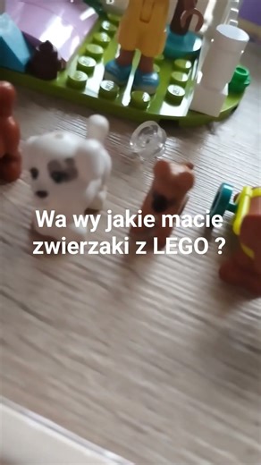# LEGO friends
